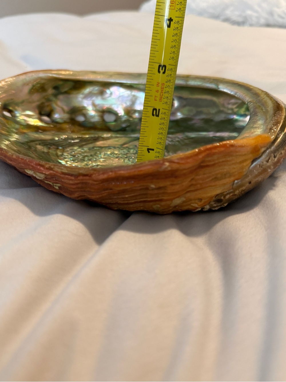 Large Vintage Red Abalone Seashell Mother of Pearl Shell 6" X 8" TRINKET DISH - Picture 6 of 8